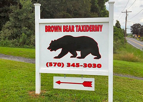 Brown Bear Taxidermy Studio 289 Pleasant Valley Rd. (Route 443) Pine Grove Pennsylvania 17963