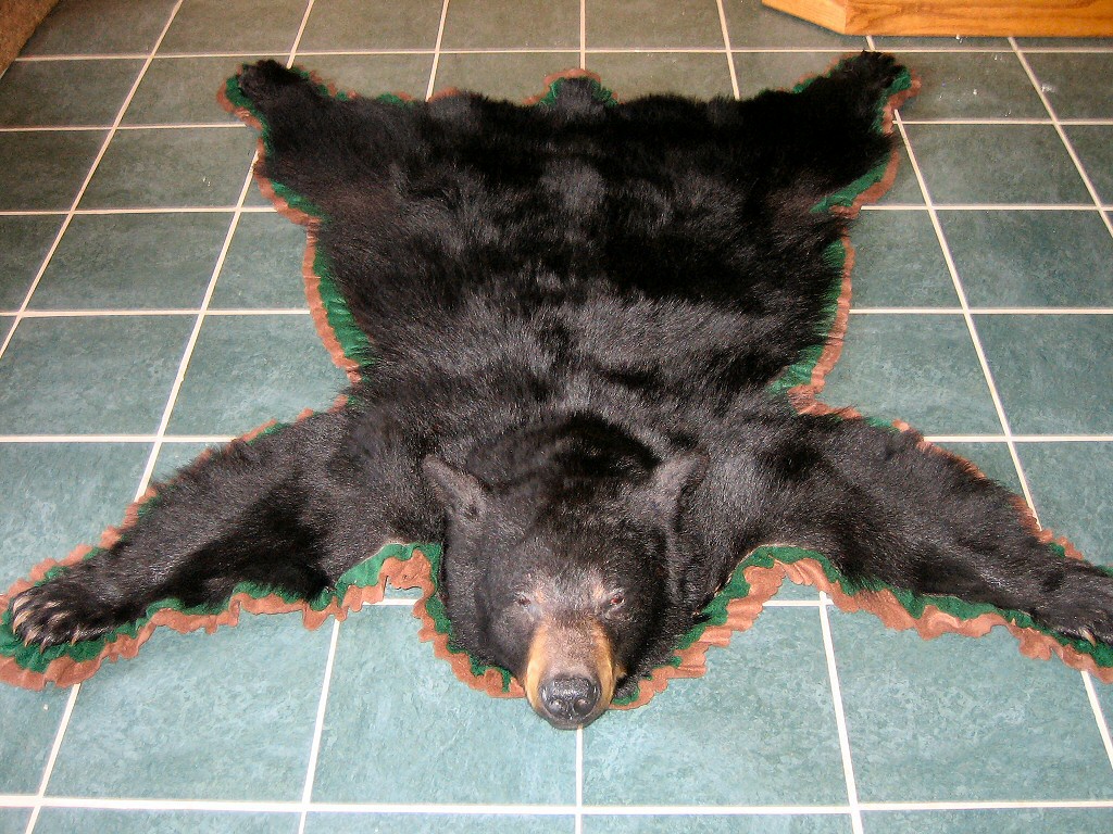 Black Bear Skin Rugs - Black Bear Skin Rugs With Heads - Real Black Bear Skin Rugs