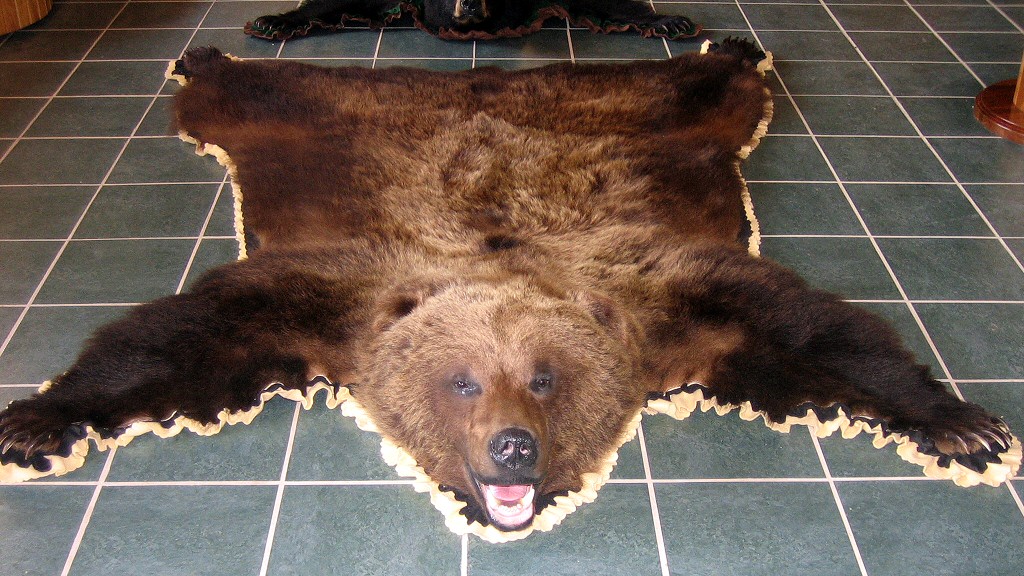Bear Skins - Bear Skin Rugs - Grizzly Bear Skin Rugs - Black Bear Skin Rugs - Bear Skin Rugs With Head - Brown Bear Taxidermy Studio - Pine Grove PA 570-345-3030