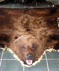 Brown Bear Rugs Skins