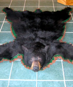 Black Bear Skin Rugs
