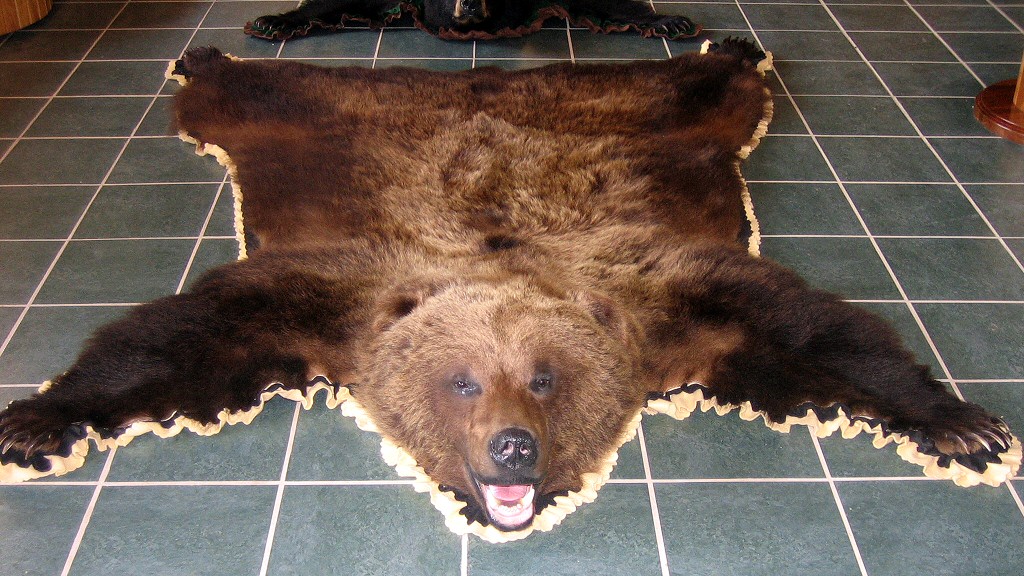 Bear Skins - Bear Skin Rugs - Grizzly Bear Skin Rugs - Black Bear Skin Rugs  - Bear Skin Rugs With Head - Brown Bear Taxidermy Studio - Pine Grove PA  570-345-3030