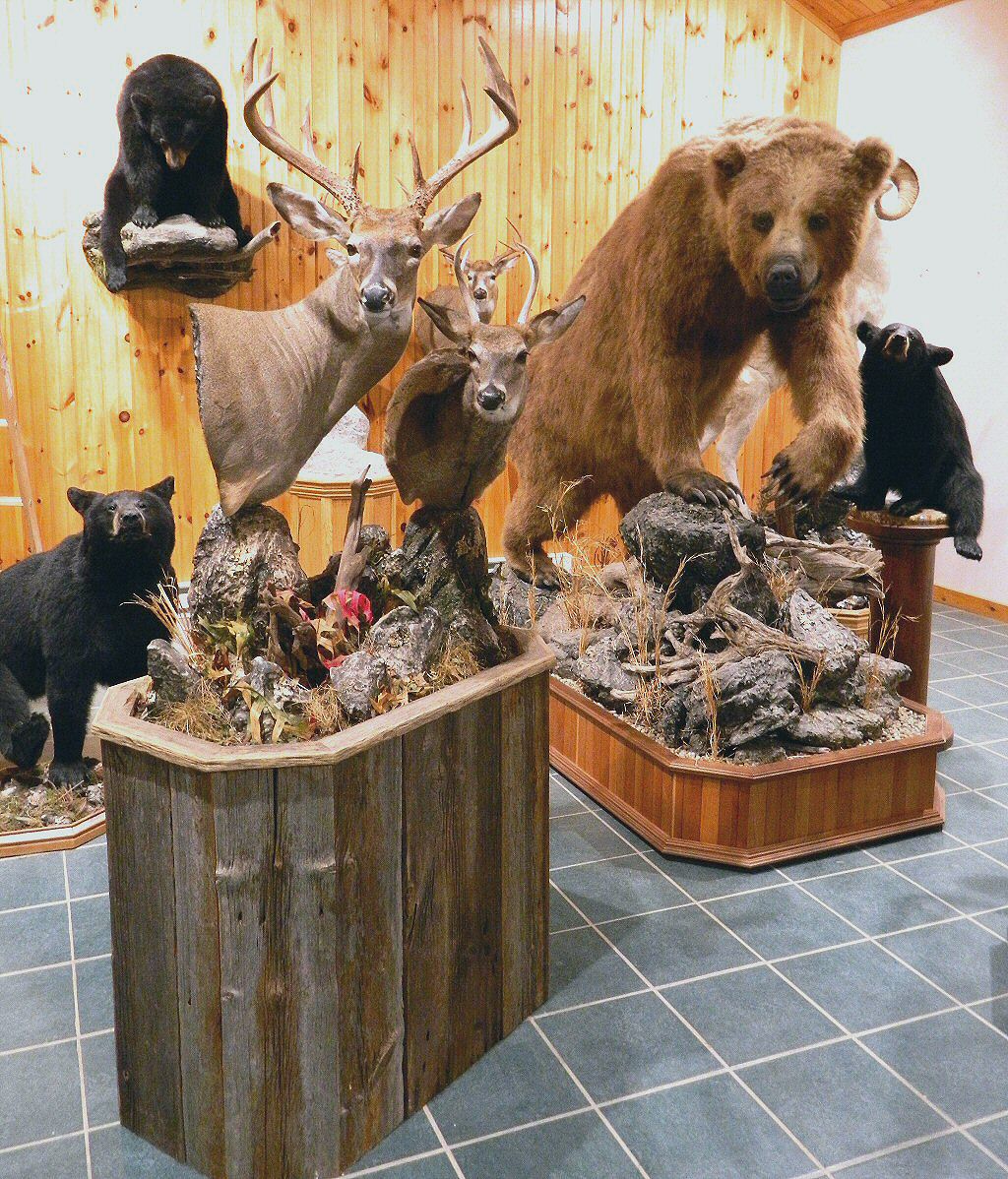 Pennsylvania Taxidermy Studio,Brown Bear Taxidermy Studio 289 Pleasant Valley Road-Pine Grove, PA 17963,Phone570-345-3030,Pennsylvania Taxidermist Studio