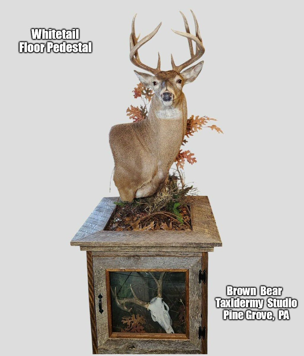 Deer taxidermy floor pedestal mount bases are made using the finest woods, barn wood bases are often used, there are many options.