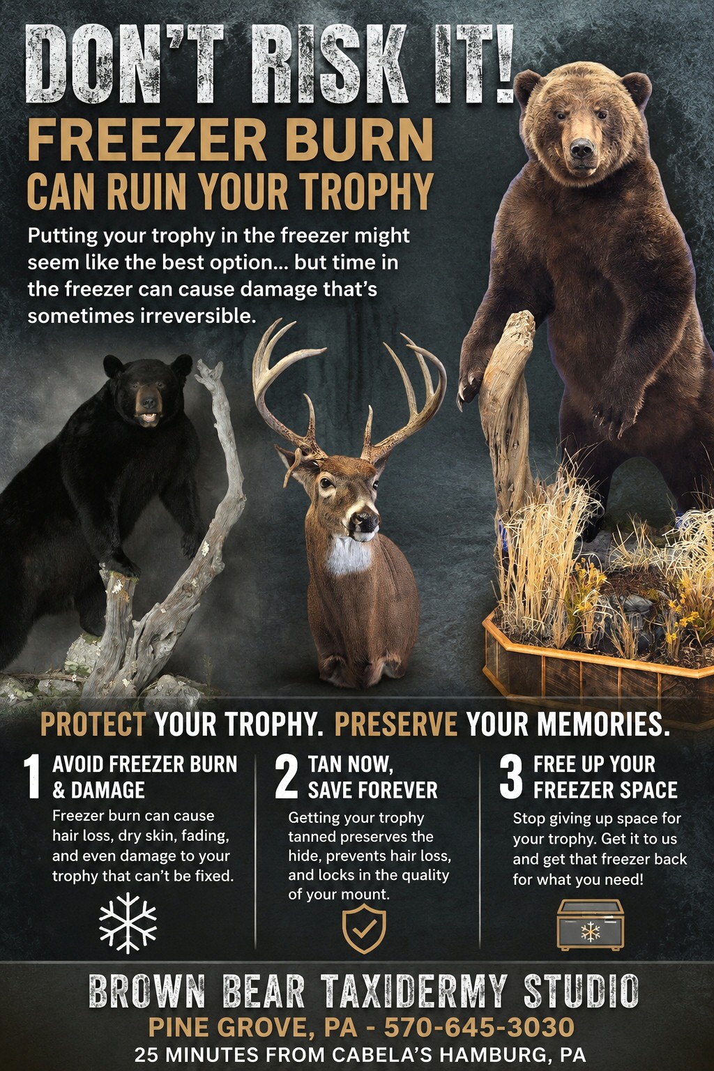 Taxidermy Freezer Burn - Prevent It - Get It Tanned For Now, Prevent Freezer Burn On Taxidermy, Brown Bear Taxidermy Studio Pine Grove PA