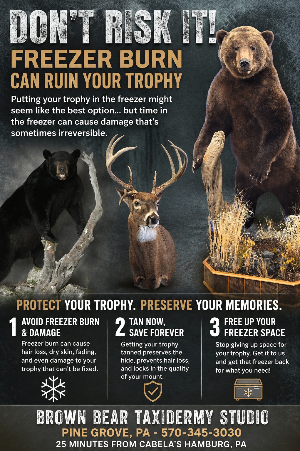 Taxidermy Freezer Burn - Prevent It - Get It Tanned For Now, Prevent Freezer Burn On Taxidermy, Brown Bear Taxidermy Studio Pine Grove PA
