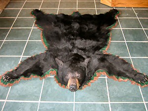Black Bear Rugs For Sale Taxidermy With Heads